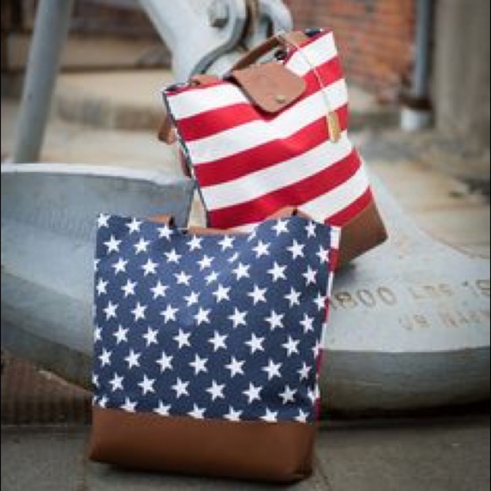 Lindsay Tia America flag tote NWOT